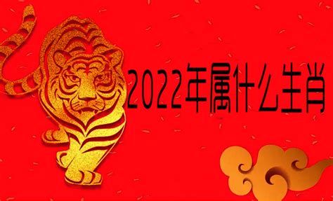 2022水虎年|2022年属什么生肖